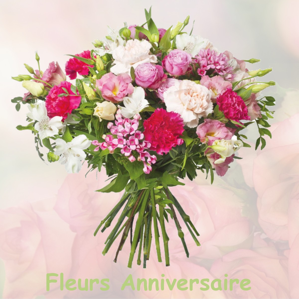 fleurs anniversaire FRENOUVILLE